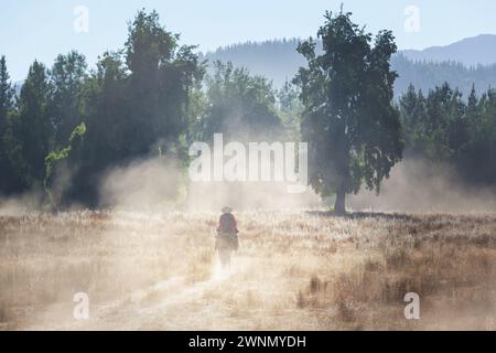 Gaucho on the horse in Mexico Stock Photo