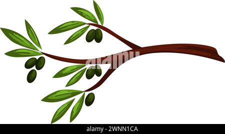 Olive tree branch with berries and leaves vector Stock Vector