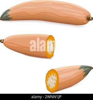 Whole and chopped Georgia candy roaster squash. Winter squash. Cucurbita maxima. Fruits and vegetables. Isolated vector illustration. Stock Vector