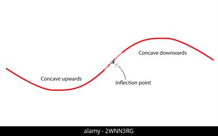 concavity of curve graph Stock Vector