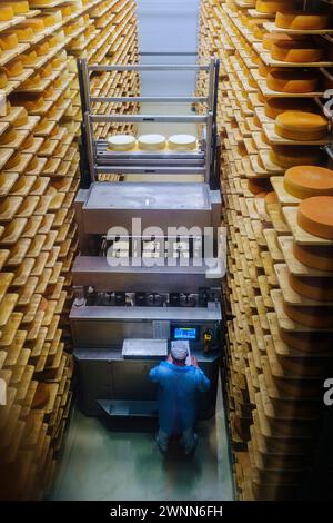 Loading machine working at cheese warehouse. Stock Photo