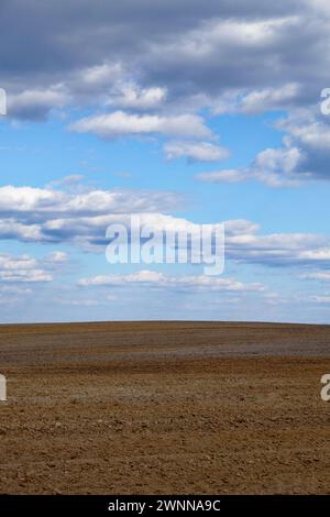 A clear day over freshly tilled agricultural land. Stock Photo