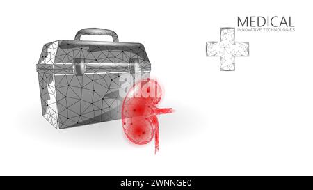 3D human kidneys transplantation case. Red low poly kidneys anatomy organ. Polygonal donor medicine patient help donation vector illustration. Stock Vector