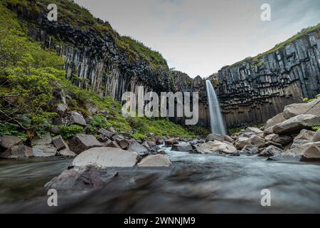 Svartifoss waterfall in skaftafell region on iceland. Beautiful waterfall viewed from low view, a lot of water coming from vertical basalt pillars. Stock Photo