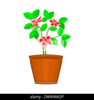 Flowers in pot.Terracotta flowerpot with plant.Houseplant in clay vase for interior decor of home, windowsill, garden or office.Spring seasonal.Vector Stock Vector