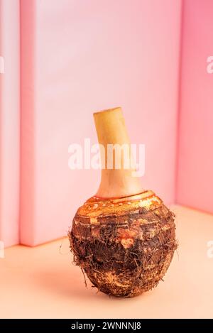 Taro is a root vegetable isolated on a colored background Stock Photo