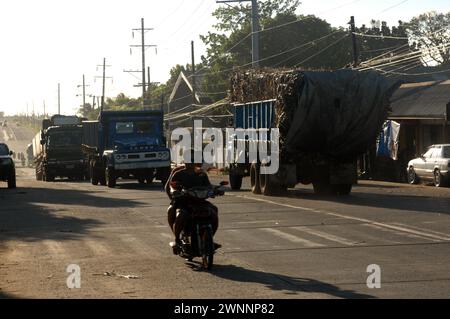 Overloaded trucks carrying sugarcane crop on road from Cadiz City to Bacolod, Negros Occidental, Philippines. Stock Photo