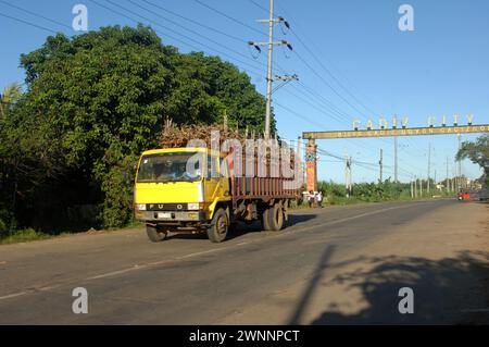 Overloaded trucks carrying sugarcane crop on road from Cadiz City to Bacolod, Negros Occidental, Philippines. Stock Photo