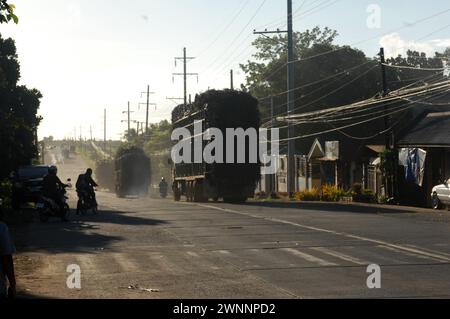 Overloaded trucks carrying sugarcane crop on road from Cadiz City to Bacolod, Negros Occidental, Philippines. Stock Photo