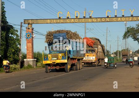 Overloaded trucks carrying sugarcane crop on road from Cadiz City to Bacolod, Negros Occidental, Philippines. Stock Photo