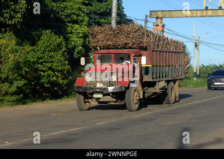 Overloaded trucks carrying sugarcane crop on road from Cadiz City to Bacolod, Negros Occidental, Philippines. Stock Photo