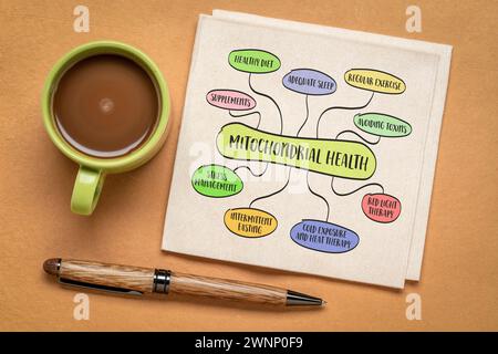 mitochondrial health concept - mind map sketch on art paper, healthy ...