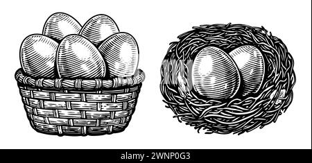 Chicken eggs in basket, nest. Farm organic food. Hand drawn sketch vintage vector illustration Stock Vector
