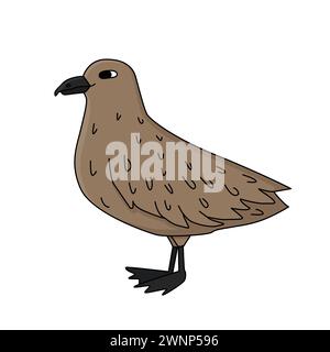 Skua bird is on the snow. Vector hand drawn cartoon childish isolated illustration on the white background. Polar animal in Antarctica Stock Vector