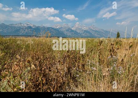 Peaks of the Grand Teton mountain range in the Grand Teton National Park in Wyoming Stock Photo