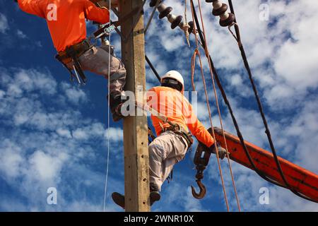 electric worker team changing high voltage transmission lines on pole Stock Photo