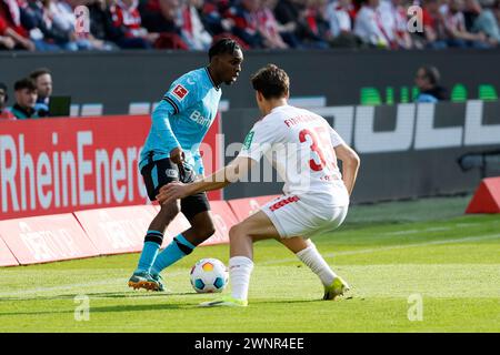 Cologne, Germany. 3rd Mar, 2024. Max Finkgraefe (R) of FC Cologne vies with Jeremie Frimpong of Bayer 04 Leverkusen during the first division of Bundesliga match between FC Cologne and Bayer 04 Leverkusen in Cologne, Germany, March 3, 2024. Credit: Joachim Bywaletz/Xinhua/Alamy Live News Stock Photo