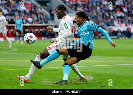 Cologne, Germany. 3rd Mar, 2024. Faride Alidou (L) of FC Cologne vies with Amine Adli of Bayer 04 Leverkusen during the first division of Bundesliga match between FC Cologne and Bayer 04 Leverkusen in Cologne, Germany, March 3, 2024. Credit: Joachim Bywaletz/Xinhua/Alamy Live News Stock Photo