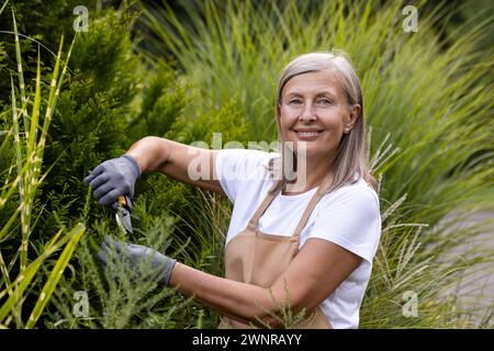 Portrait of a smiling senior gray-haired woman in an apron and gloves and with scissors in her hands working and taking care of plants, looking happily at the camera. Stock Photo