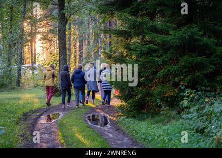 People walk on a forest road in the sunset light after the rain. Evening light in the forest after the rain. Walkers in the forest. Stock Photo