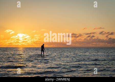 Lone paddle board surfer man is surfing on a sup board on calm water at sunset. Black sunset silhouette of paddle boarder standing on SUP. Stock Photo