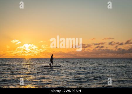 Lone paddle board surfer man is surfing on a sup board on calm water at sunset. Black sunset silhouette of paddle boarder standing on SUP. Stock Photo