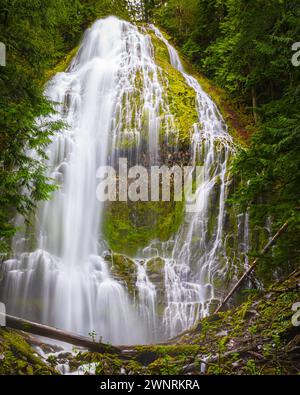 A vertical 4:5 photo from the Proxy Falls, also known as Lower Proxy Falls, a cascade and plunge waterfall from a collection of springs on the shoulde Stock Photo
