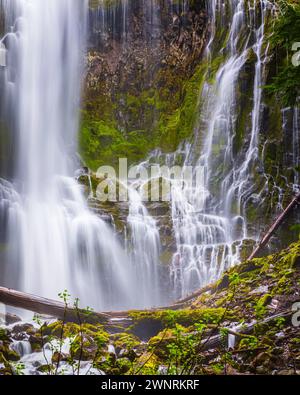 A vertical 4:5 photo from a small part of the Proxy Falls, also known as Lower Proxy Falls, a cascade and plunge waterfall from a collection of spring Stock Photo