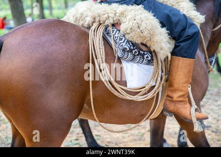 Pampas Pursuit: Argentinean Gauchos riding on Horseback Stock Photo