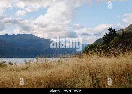 Natural agriculture background of brown grass and layered mountains Stock Photo