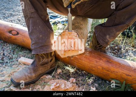 Craftsman chiseling wood for log cabin Stock Photo