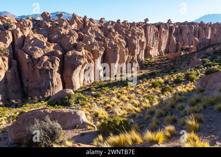 Unusual rock formations in Uyuni, Bolivia. Geological hoodoo in Valle de Rocas. Stock Photo