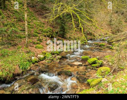 Allerheiligen Waterfalls in Oppenau in the Black Forest Stock Photo