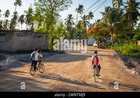 Three young boys on two bicycles cycle to school in the morning, Jambiani, Zanzibar, Tanzania Stock Photo