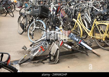 Gouda, Netherlands 4th Mar 2024. Bicycles in public parking area in chaos dissaray have fallen over onto the flooor Stock Photo