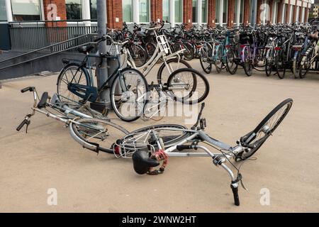 Gouda, Netherlands 4th Mar 2024. Bicycles in public parking area in chaos dissaray have fallen over onto the flooor Stock Photo