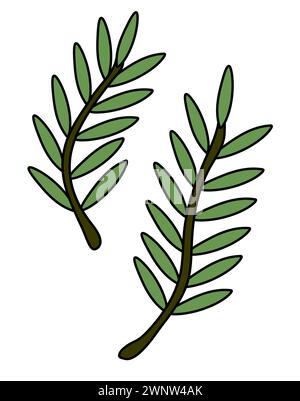 Two Rosemary twigs. Spice, condiment and herb. Kitchen cooking. Food Doodle icon, logo, sticker. Vector flat illustration. Stock Vector