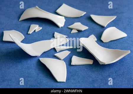 Splinters and Fragments of the broken white ware. Broken Plate, glass.  Pieces of shattered dishes. close-up, side view Stock Photo