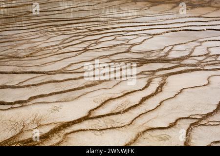 An up-close detail of the fascinating and complex patterns created by geothermal activity in Grand Prismatic Spring Overlook in Yellowstone Stock Photo