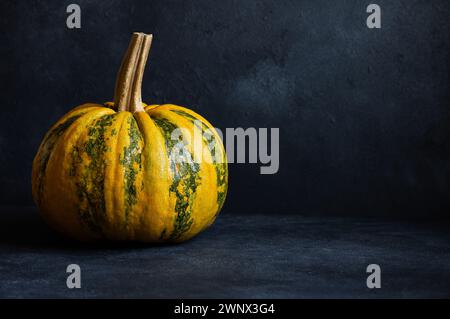 Whole fresh and ripe one pumpkin on dark rustic background (Cucurbita moschata) Stock Photo