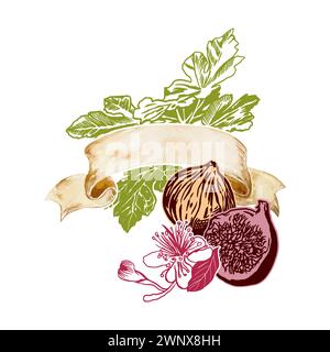 Fig graphics, fruits, leaves, flower. Vector illustration. Label with vintage banner for text. Design element for food, cosmetics, cards, flyers, post Stock Vector
