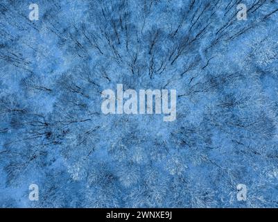 Aerial overhead view of the snow-covered Santa Fe de Montseny beech forest in winter (Vallès Oriental, Barcelona, Catalonia, Spain) Stock Photo