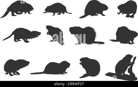 Beaver silhouettes, Beaver vector illustration Stock Vector