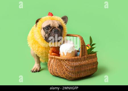 Cute French bulldog in chick costume and wicker basket with Easter cakes on green background. Easter celebration Stock Photo
