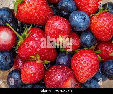 Overhead image of washed strawberries and blueberries in bowl Stock Photo