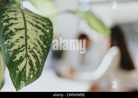 Blurred photo of two businesspeople working together at the office. Focus on leaf. Stock Photo