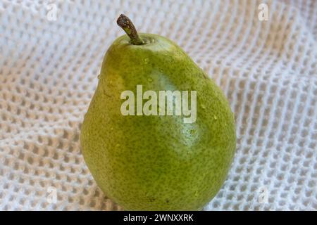 Still Life Green Ripe Pear, USA, 2024 Stock Photo