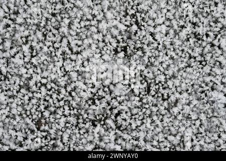 Ice crystals on grass in winter Stock Photo