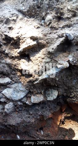 research the types of soil to find out the types, kinds and mixtures that are in the soil mixture Stock Photo