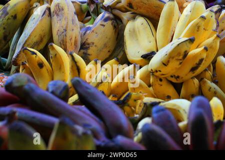 banana fruits from africa as nice food background Stock Photo